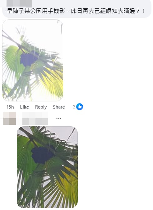 网民上载同类相片和应。fb「香港自然生态论坛」截图
