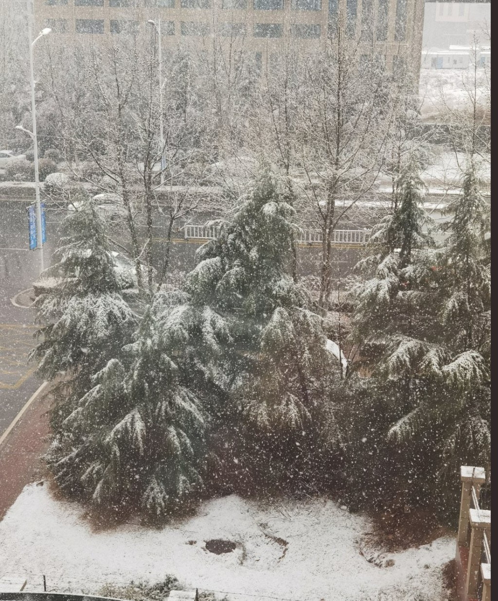 网民分享下雪的情况。 微博图