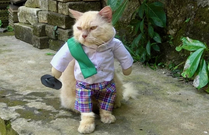 Priadi至今縫製數百件不同風格、樣式的服飾,包括學校制服、傳統穆斯林服飾、日本卡通人物或是超級英雄等。