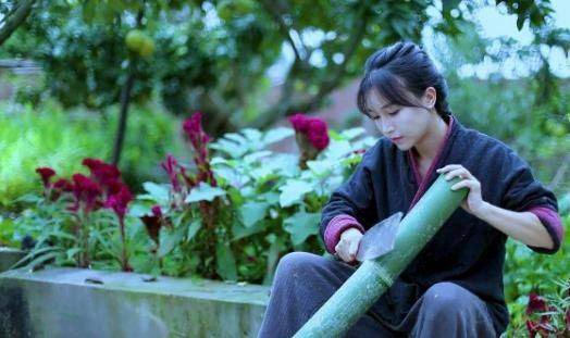 網紅李子柒 網紅李子柒