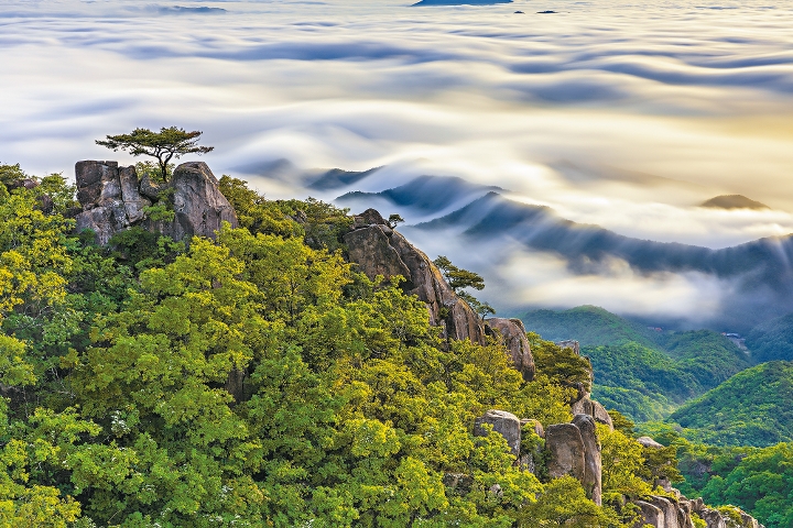透过「韩国绿悠游Go Korea, Go Green！」活动，韩国观光公社（香港支社）期望大家日后重游韩国时可以好好欣赏当地的自然美。
