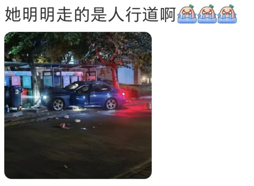肇事汽車疑衝上行人路。