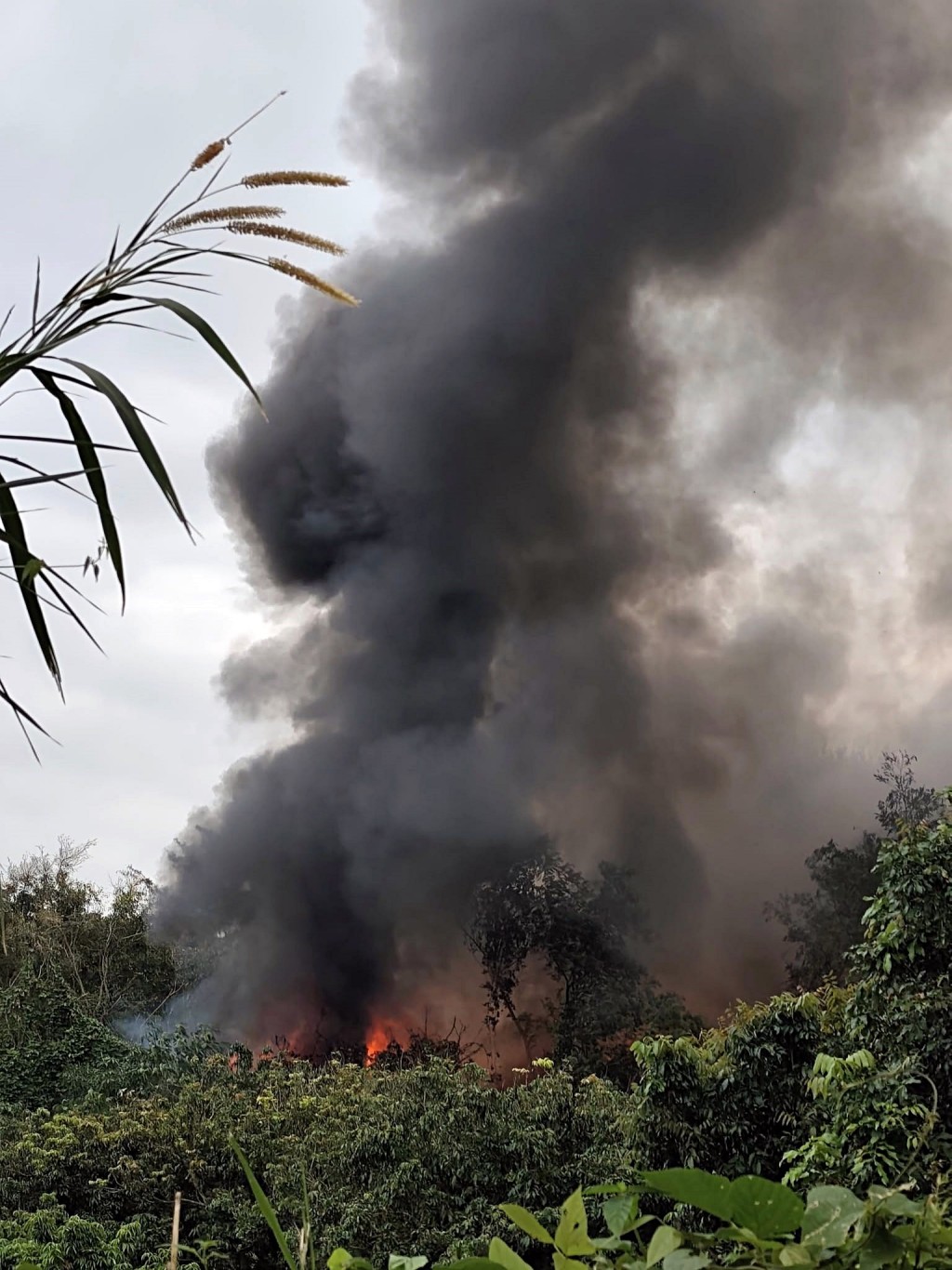 車房濃煙席捲半空。fb：盡在元朗