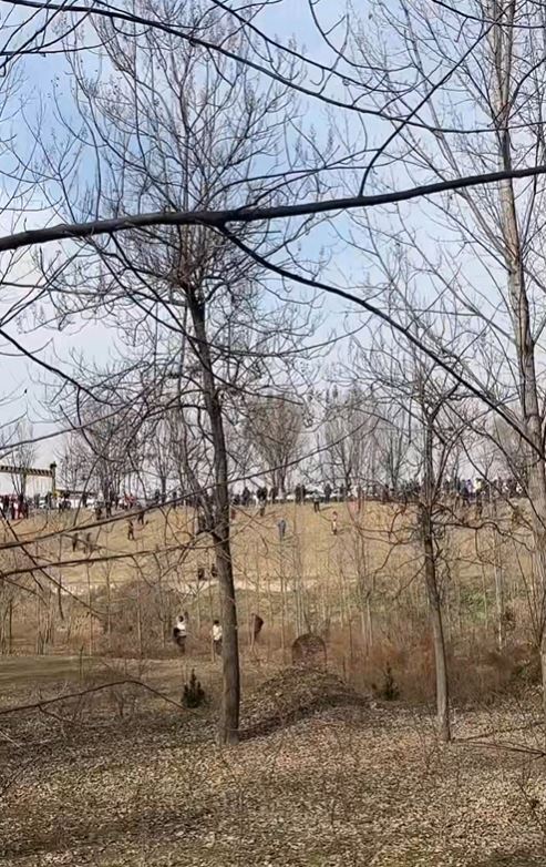 吳承言的巨型牆畫，令小村變網上景點，元旦吸客逾24萬。抖音＠大兵(商丘航拍古城) 