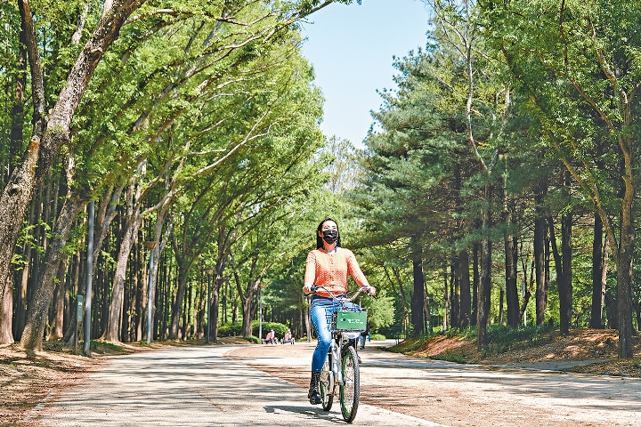韩国全国设有长达五千公里的完善单车径网络，是享受单车乐的好地方。