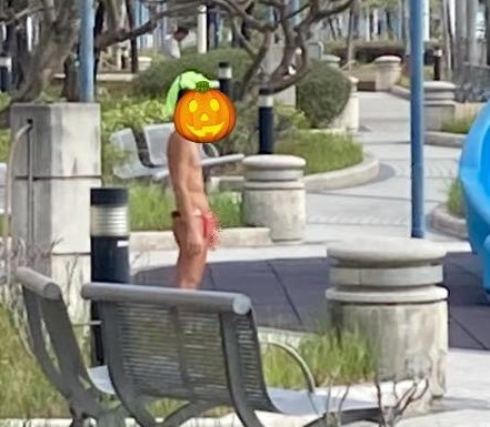 屯门河畔春满枝头，有女街坊到公园仔赏花时却遇上三角裤怪客。fb「真.屯门友」截图