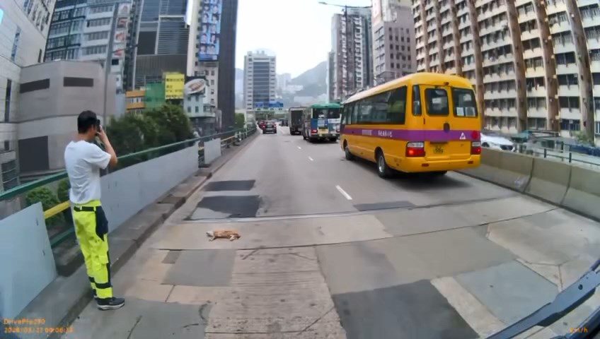 有熱心司機落車查看貓咪的傷勢。fb「阿棍屋」片段截圖