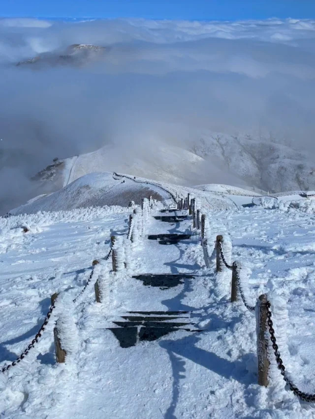 江西武功山每年最佳賞雪時機為每年12月至翌年2月,高山草甸化身夢幻雪國(圖片來源:萍鄉武功山景區@小紅書) 江西武功山每年最佳賞雪時機為每年12月至翌年2月,高山草甸化身夢幻雪國(圖片來源:萍鄉武功山景區@小紅書)
