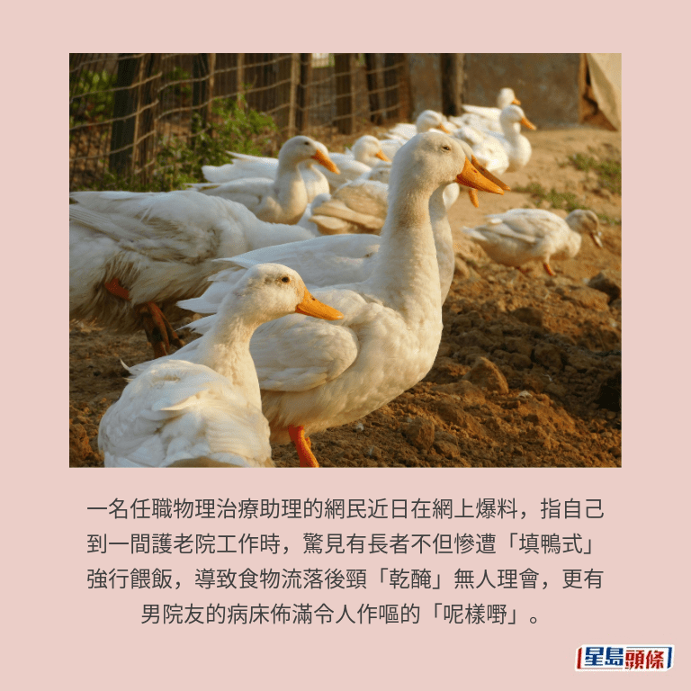示意圖 示意圖