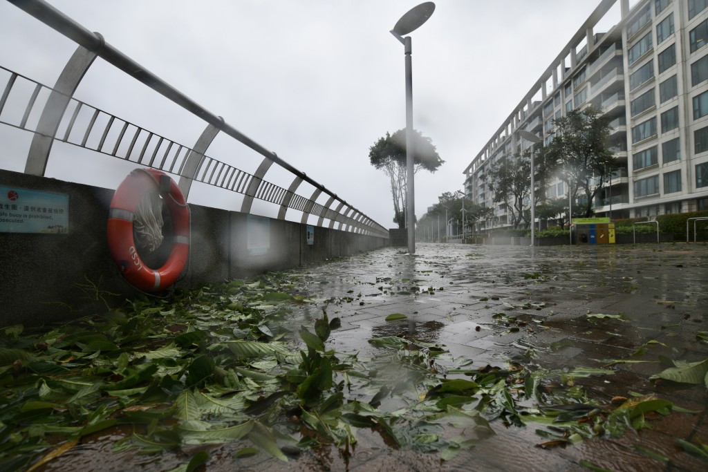 颱風蘇拉對本港造成極大破壞。蘇正謙攝