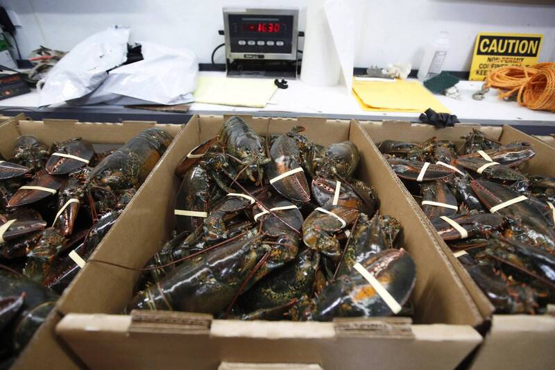 原定運往Costco的一批活龍蝦在半路遭劫走。美聯社