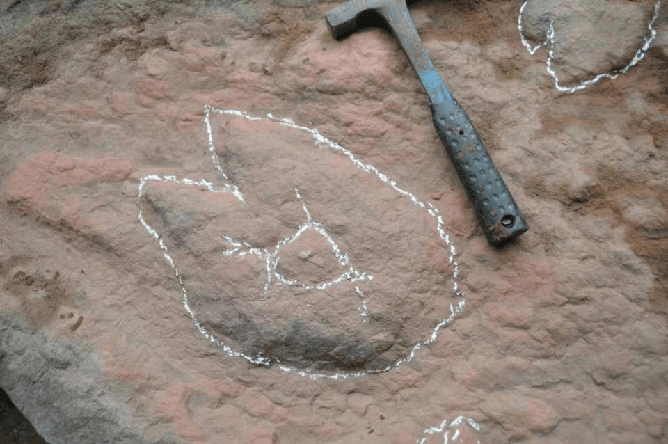 专家把石头上的凸起给描出了形状。