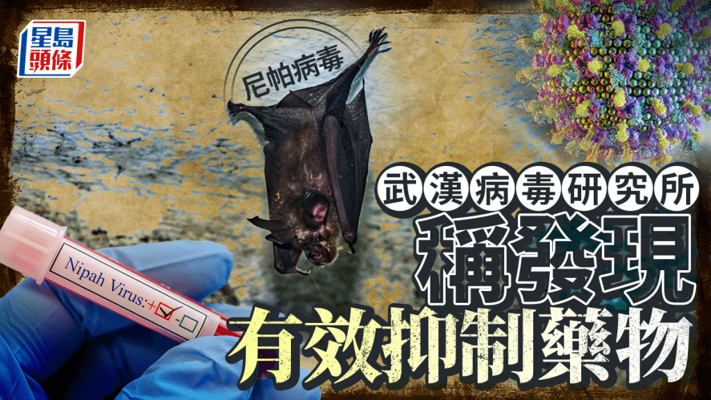 尼帕病毒︱武漢病毒研究所：發現有效抑制藥物