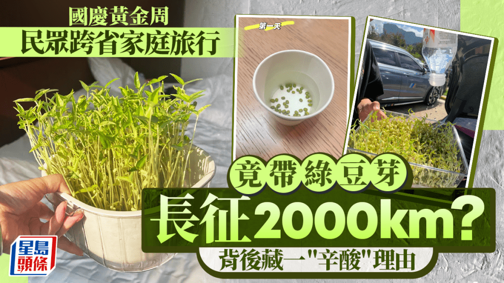 國慶黃金周︱民眾帶綠豆芽跨省遊2000公里 原因是……
