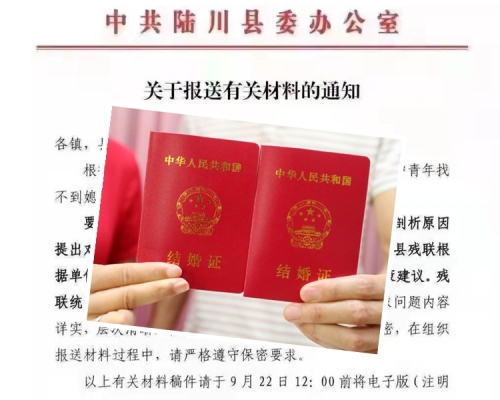 廣西陸川縣要求統計中青年未娶妻人數。網圖