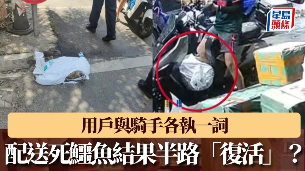 配送死鱷魚結果半路復活? 用戶與騎手各執一詞。