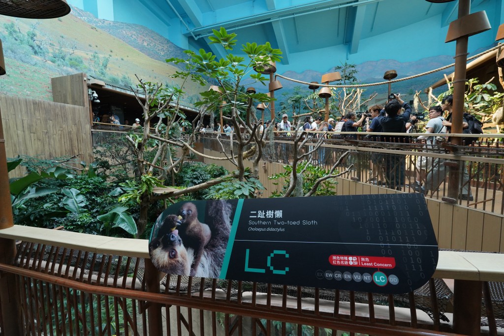 海洋公園全新展館「樹懶與好友」開幕。葉偉豪攝