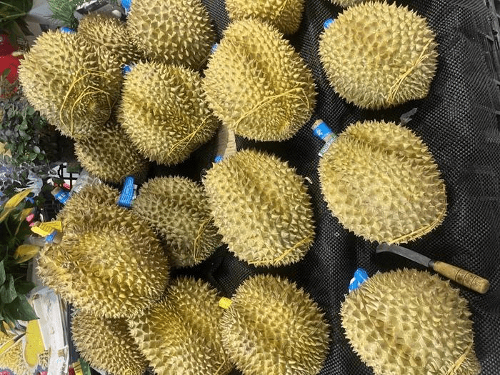 金枕榴梿。