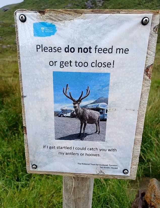 蘇格蘭傳奇網紅鹿卡勒姆的棲息地，也有告示牌提醒遊客不要餵食。