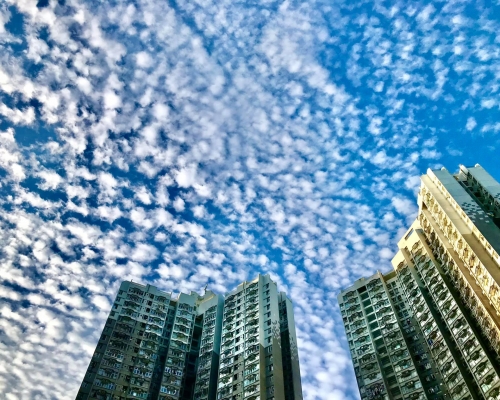 田湾。香港风景摄影会Wc Kwan图片