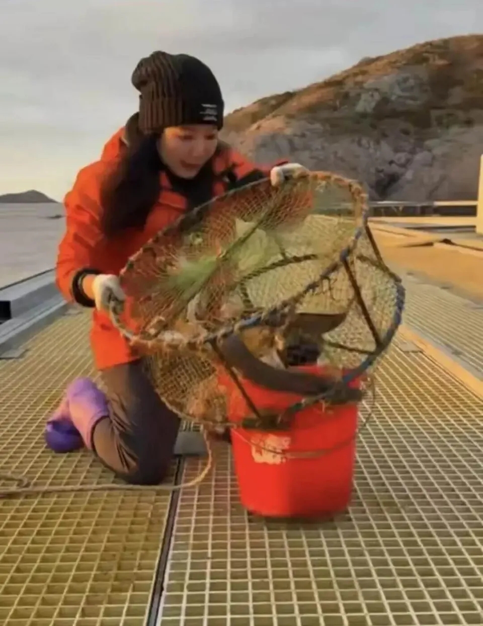 栗子的無人島生活日常。 栗子的無人島生活日常。