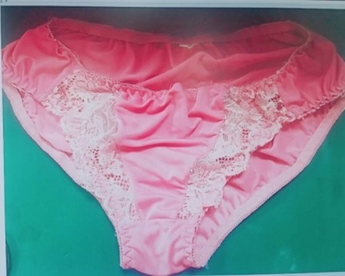 詹男偷走的內褲。網上圖片