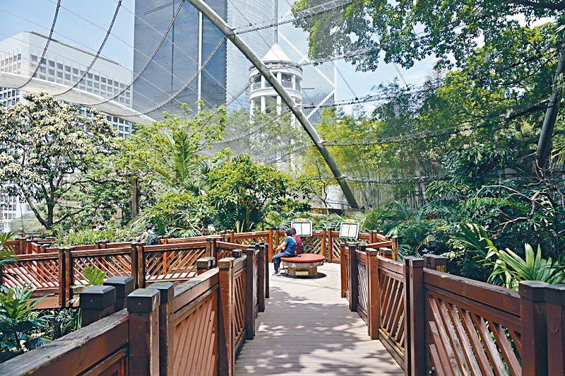●香港公園的尤德觀鳥園，建有高架行人步道方便遊人觀鳥賞景。