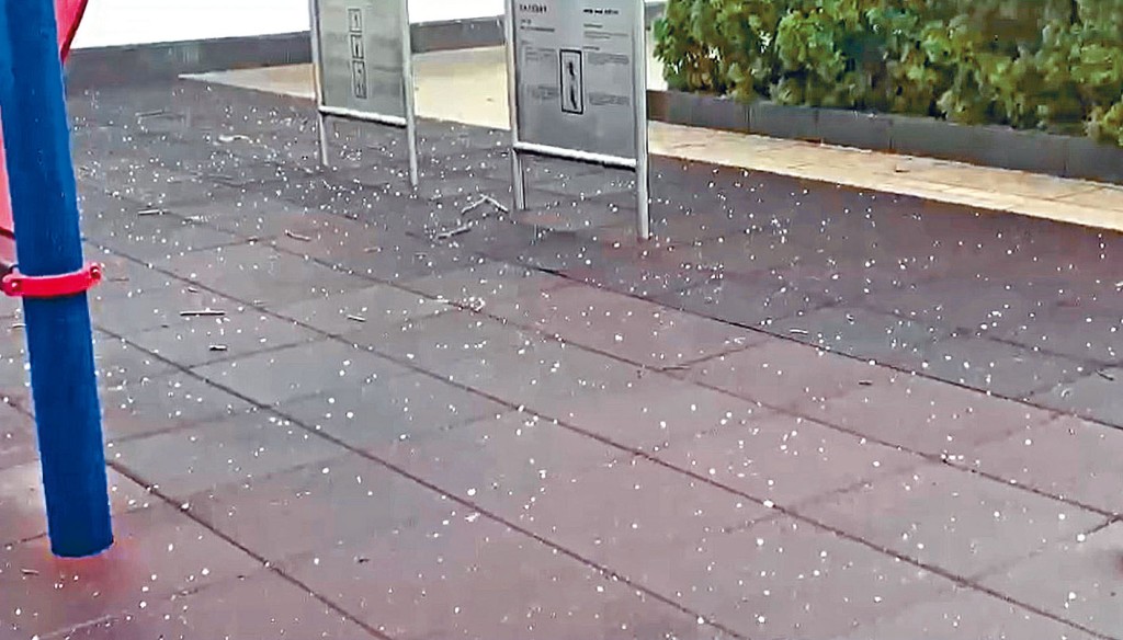 將軍澳多區驚現落冰雹奇景。冰雹有如五角硬幣般大。