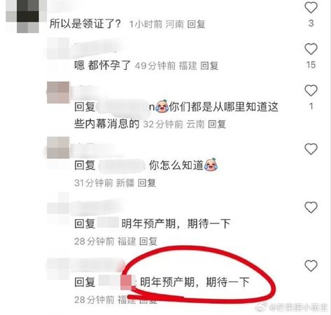 网民又称黄晓明明年再做爸爸。