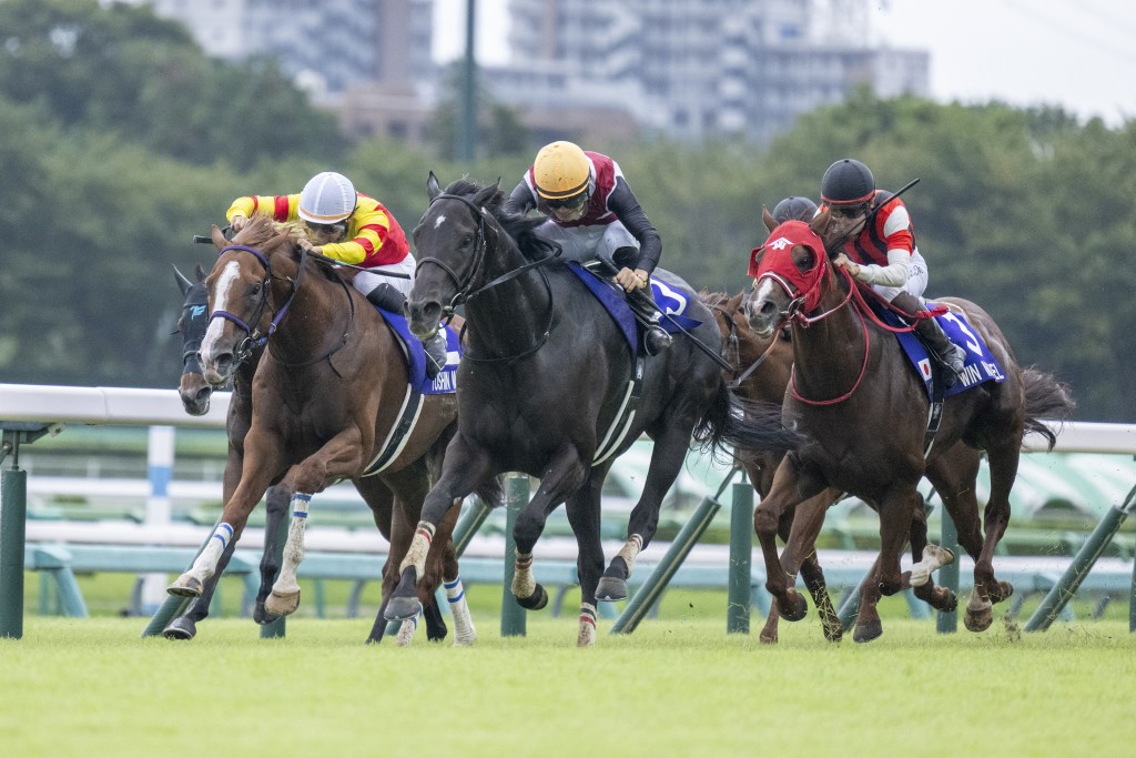 「賢德之君」在中山攻下短途馬錦標。