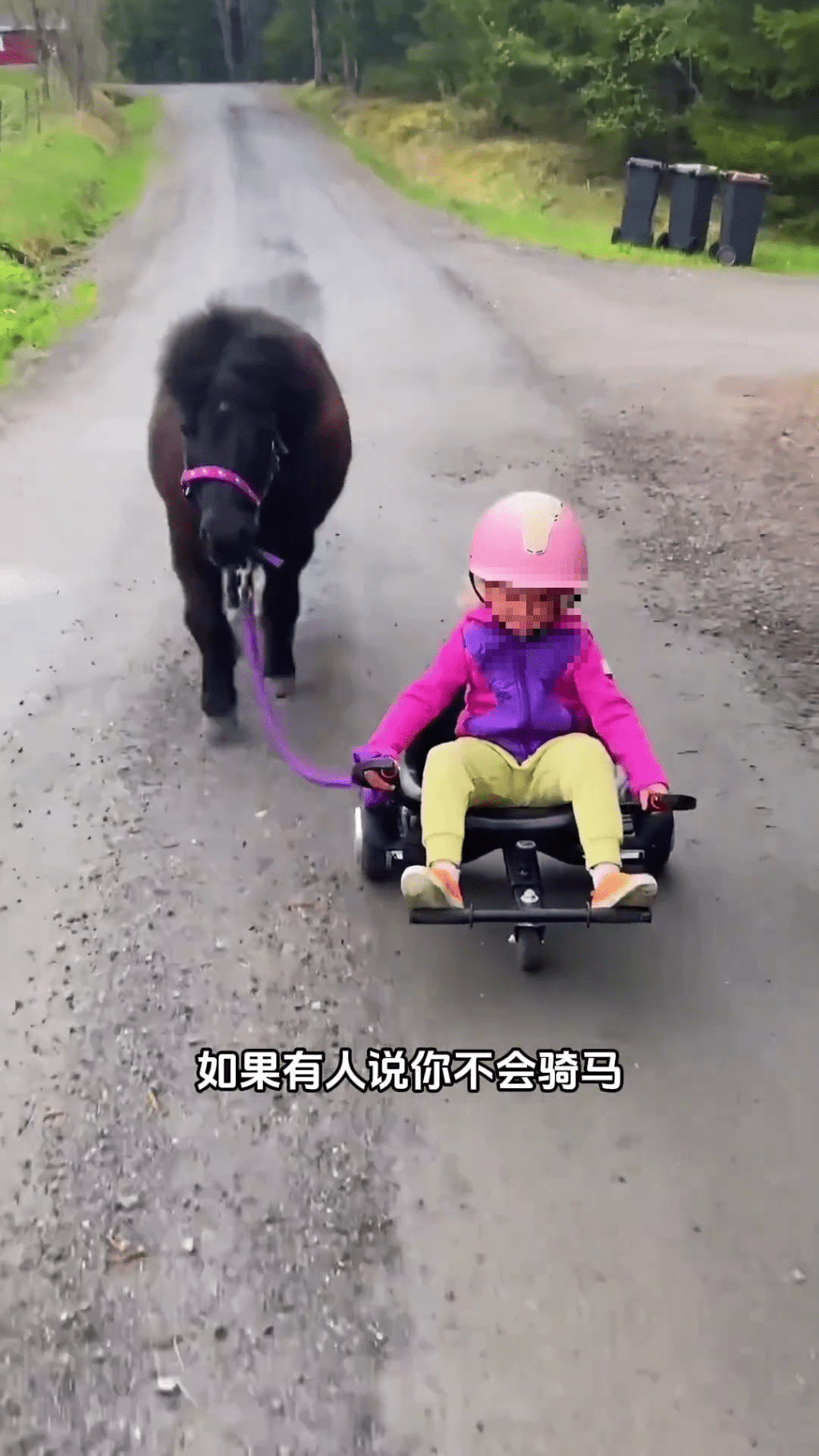 迷你馬在內地社交平台上爆紅。 迷你馬在內地社交平台上爆紅。