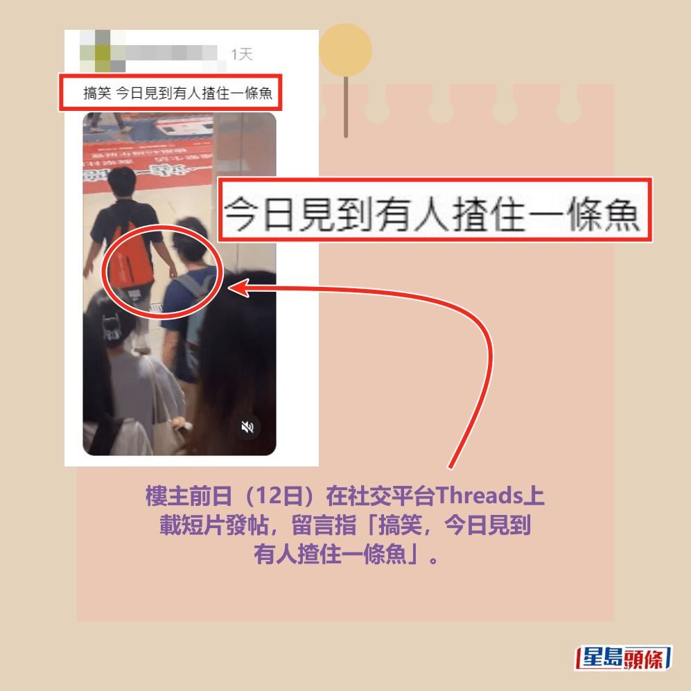 樓主前日(12日)在社交平台Threads上 載短片發帖,留言指「搞笑,今日見到 有人揸住一條魚」。Threads截圖 樓主前日(12日)在社交平台Threads上 載短片發帖,留言指「搞笑,今日見到 有人揸住一條魚」。Threads截圖