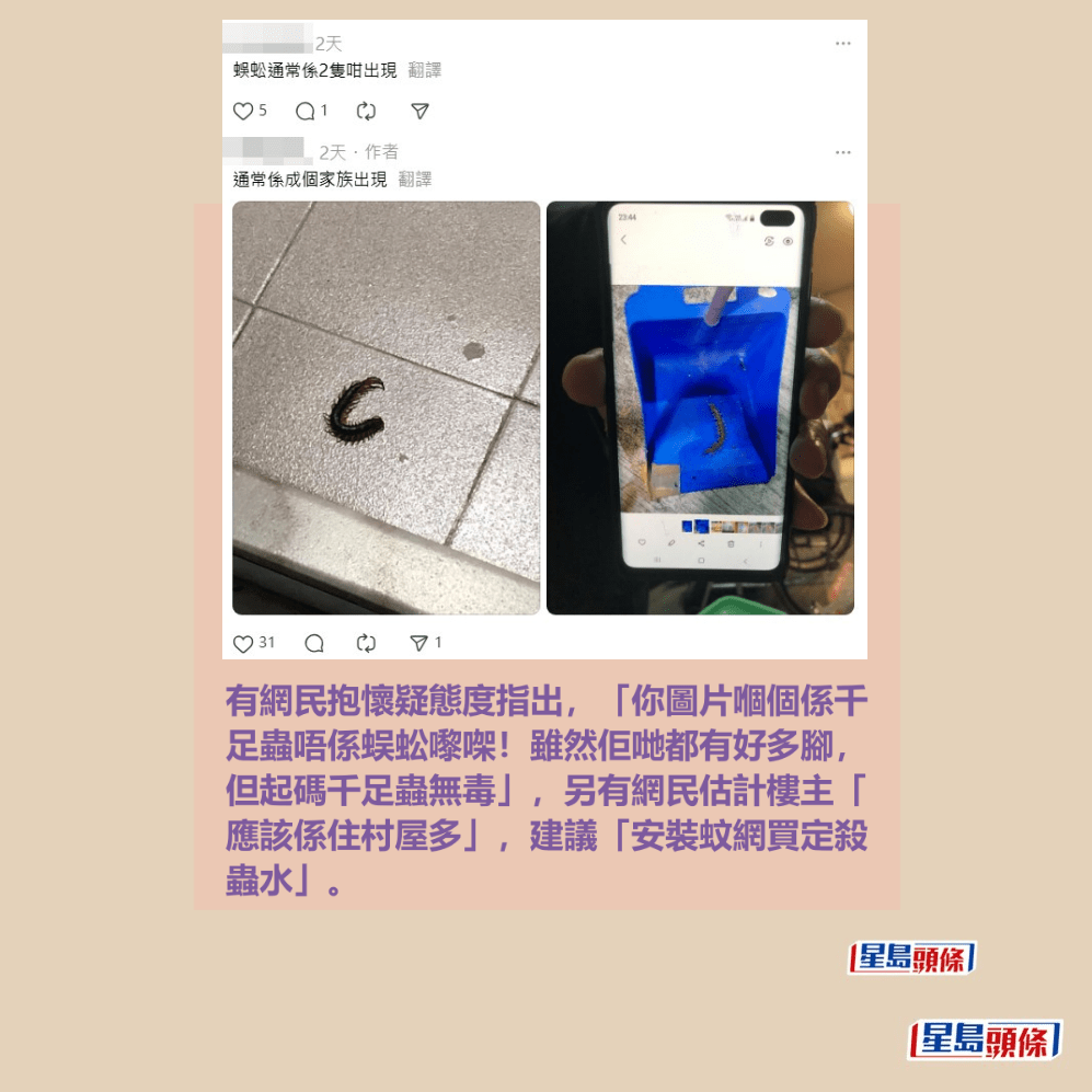 有網民抱懷疑態度指出,「你圖片嗰個係千 足蟲唔係蜈蚣嚟㗎!雖然佢哋都有好多腳, 但起碼千足蟲無毒」,另有網民估計樓主「 應該係住村屋多」,建議「安裝蚊網買定殺 蟲水」。Threads截圖 有網民抱懷疑態度指出,「你圖片嗰個係千 足蟲唔係蜈蚣嚟㗎!雖然佢哋都有好多腳, 但起碼千足蟲無毒」,另有網民估計樓主「 應該係住村屋多」,建議「安裝蚊網買定殺 蟲水」。Threads截圖