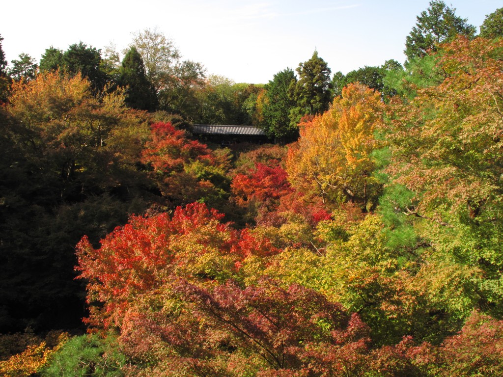 跟京都站只有一站之隔的东福寺，是在京都赏红叶其中一个最方便的地方。
