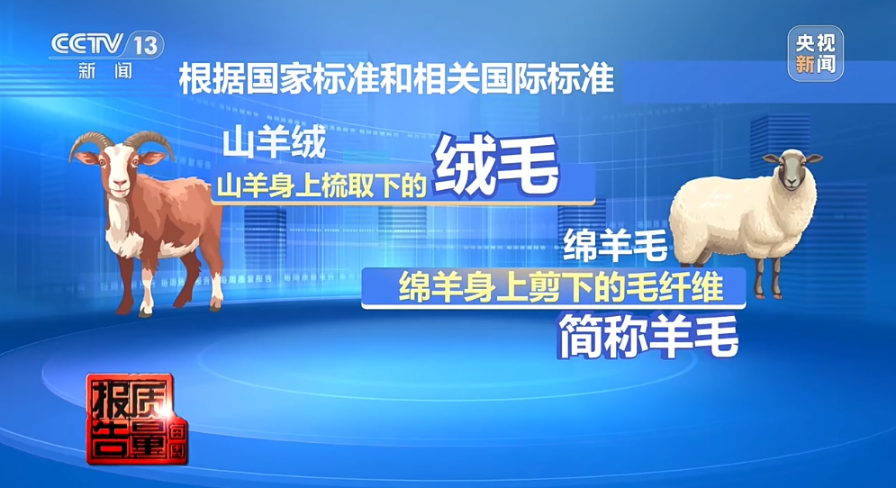 法定標準列明綿羊只有「毛」。央視 法定標準列明綿羊只有「毛」。央視