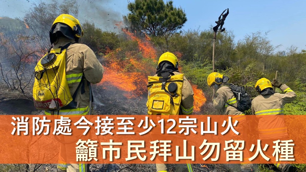 消防處表示，截至今日中午12時，共接獲12宗山火報告。香港消防處FB圖片