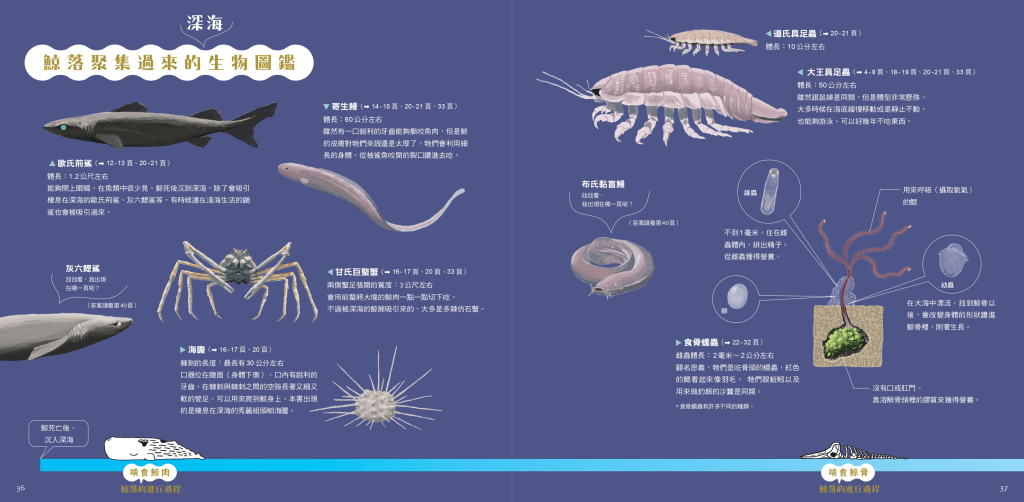 （圖片來源：受訪者提供）