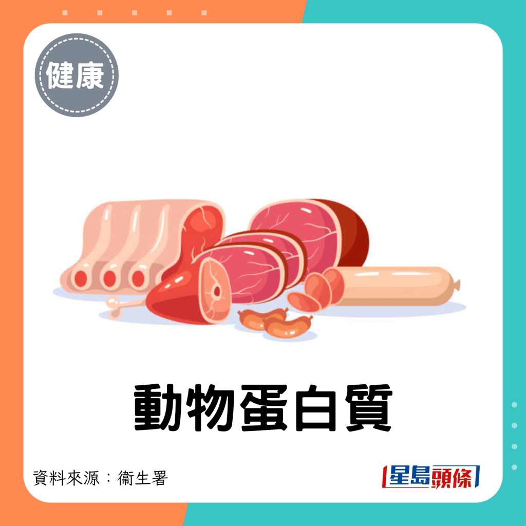 動物蛋白質