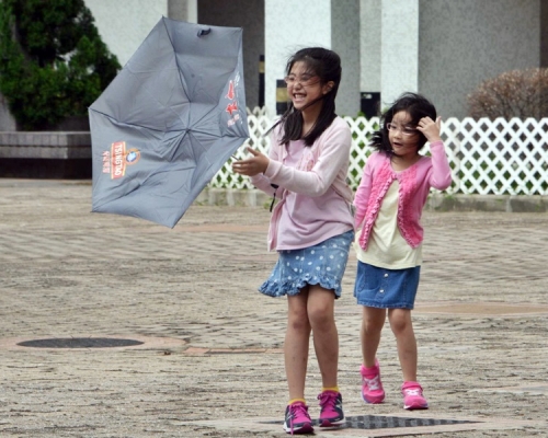 幼稚園（包括幼稚園的下午班）、肢體傷殘兒童學校及智障兒童學校今日全日停課。資料圖片