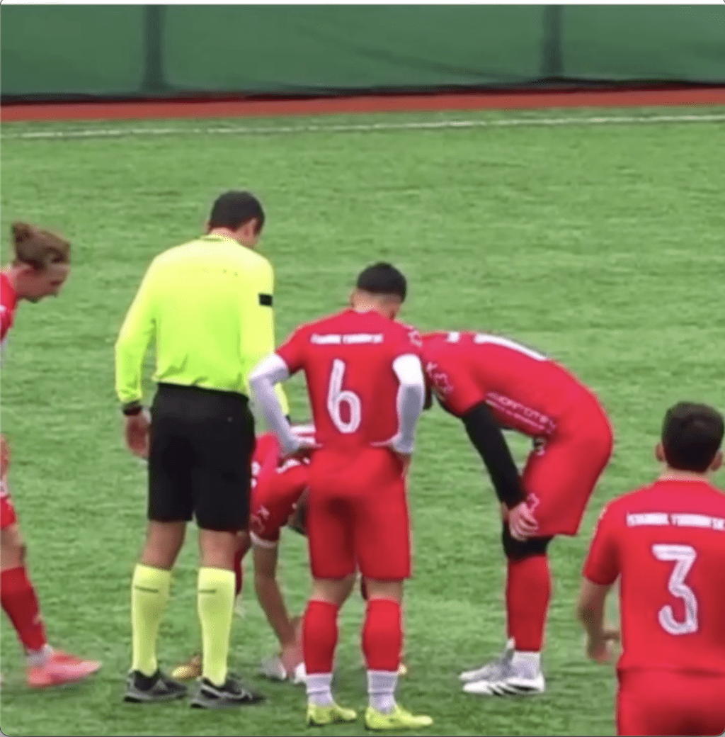 隊長Catan見狀立即俯身檢查，為海鷗展開急救。網片截圖