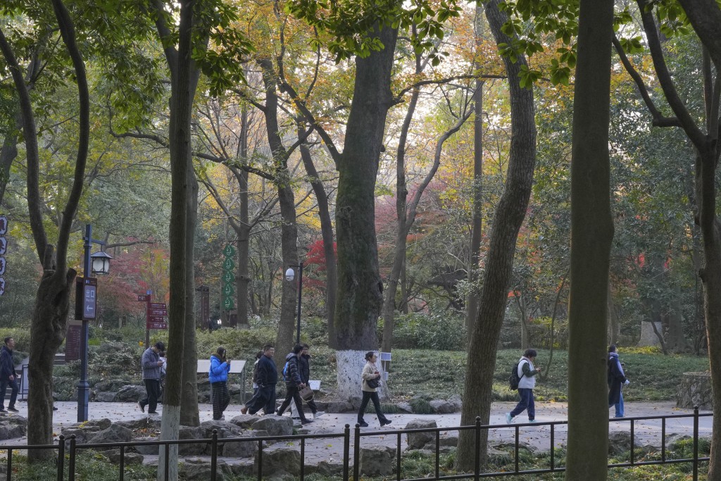 杭州靈隱飛來峰景區12月1日開始免票開放。新華社