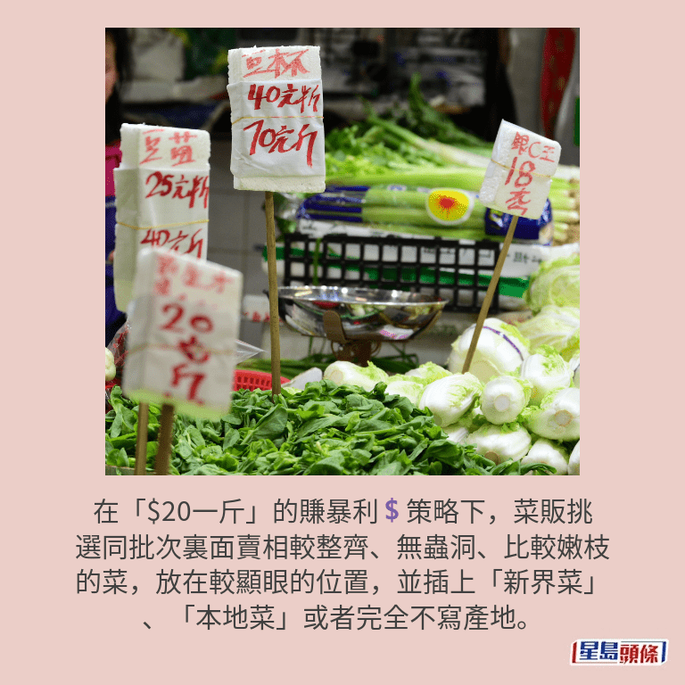資料圖片 資料圖片