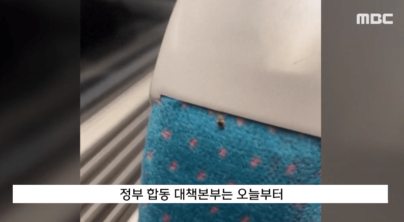 韩国交通工具座椅出现蝨患（影片截图：MBC）
