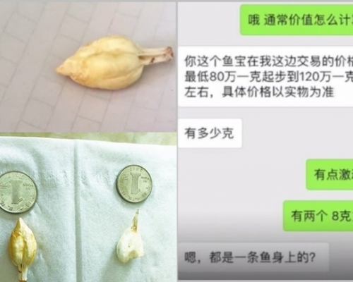 鍾先生將疑似發現「魚寶」（左）的圖片發布朋友圈後，有人指價值高昂（右）。（網圖）
