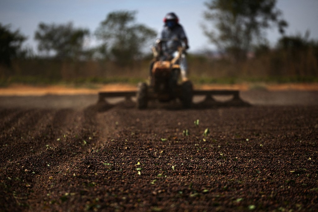 化肥有助於提高農作物產量。路透社