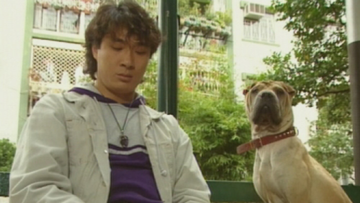 《卡拉屋企》中的沙皮狗Popeye，现实中是吴镇宇的爱犬。