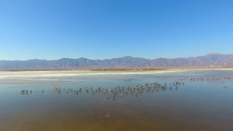 1. 北京野鴨湖國際重要濕地