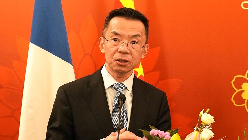 中国驻法国大使卢沙野。中新社资料图