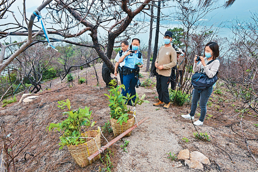 ■警員到大嶼山芝麻灣郊遊徑野蜂螫人現場調查。