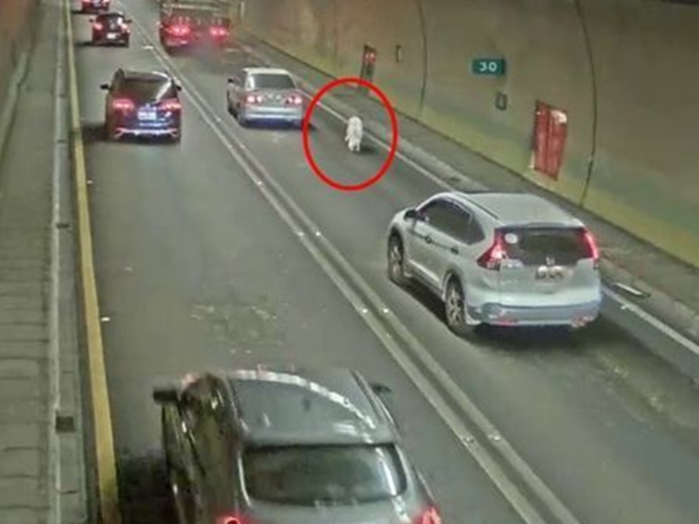 事故令現場交通一度受阻。網圖